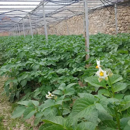 Ca Du Bega Apartment Arma di Taggia