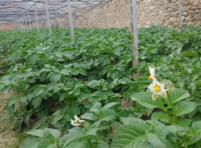 Ca Du Bega Apartamento Arma di Taggia